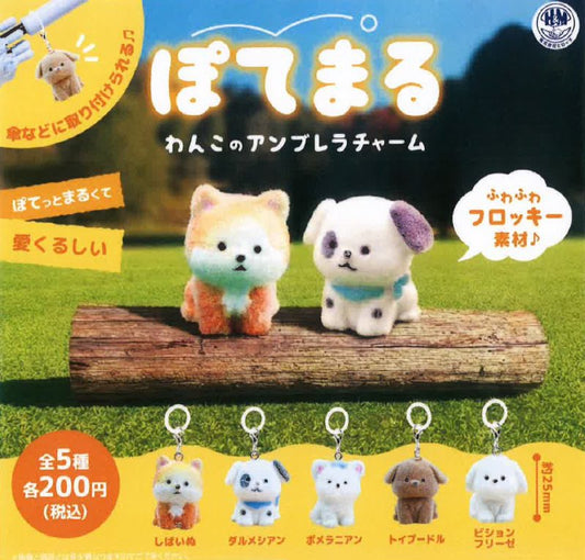 *GACHAPON* "Fluffy Dogs Mini Charm" Blind
