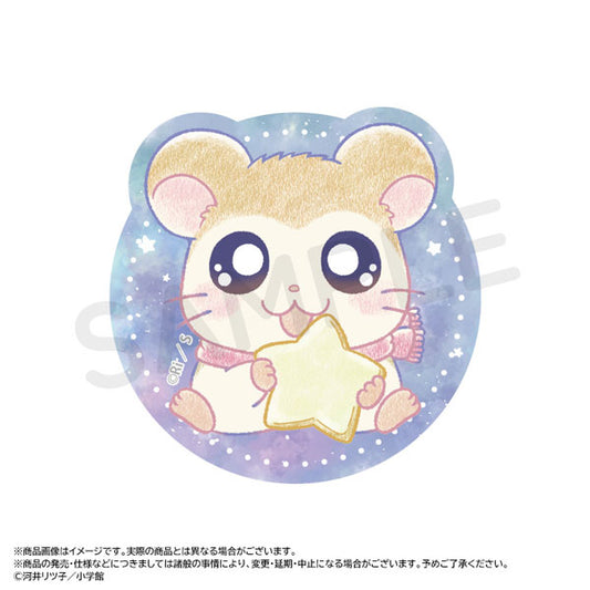 [PASHMINA] "Hamtaro Twinkle Dreams" Die-cut Sticker