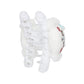 [MOMONGA] "Chiikawa" Hair Claw