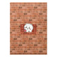 LIMITED "Chiikawa Hokkaido Store" A4 File Folder