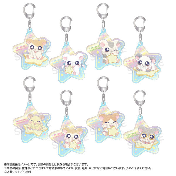 [KEYCHAIN] "Hamtaro Twinkle Dreams" Blind Bag