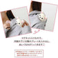 [KORILAKKUMA] "Rilakkuma Goodnight" Lying Down Shoulder Plush