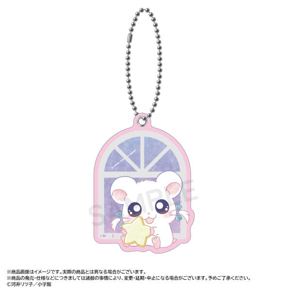 [BIJOU] "Hamtaro Twinkle Dreams" Slide Mirror