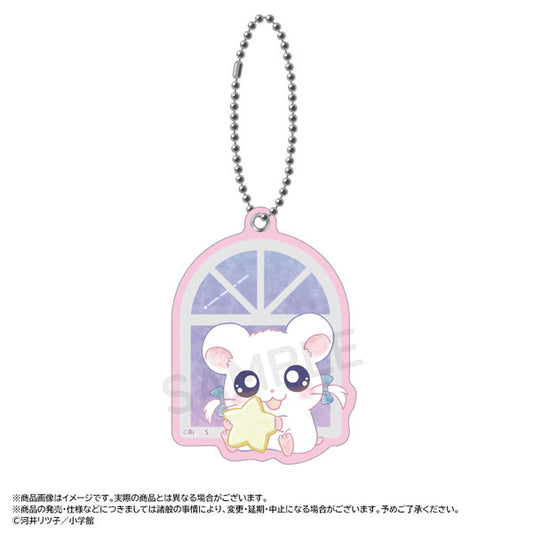 [BIJOU] "Hamtaro Twinkle Dreams" Slide Mirror