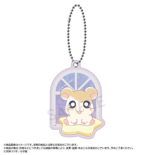 [HAMTARO] "Hamtaro Twinkle Dreams" Slide Mirror
