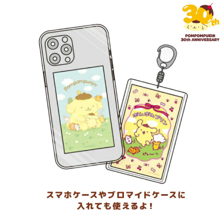 "Pompompurin 30th Anniversary Smaroid Photo" Blind