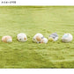 [TONKATSU / EBI FURAI] "Sumikko Gurashi Petit Nekogurashi Cat" Figure